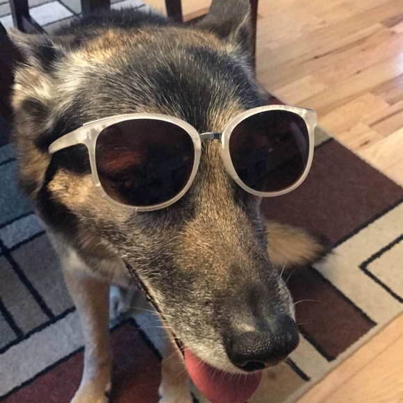 Meet your Posher, Lisa - Picture 1 of 1